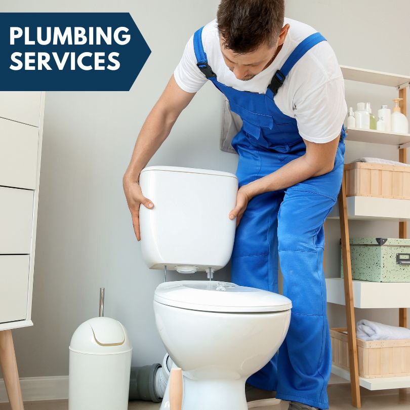 Plumbing Company in Seatonville, IL